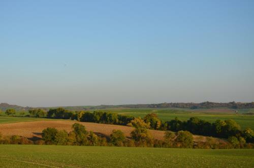 G�te Brin De Campagne