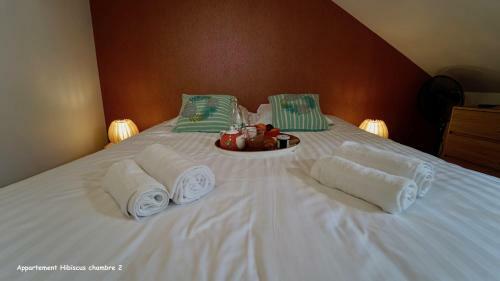 Apartamento Appartements De Caract�re Centre