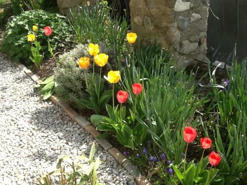 Bed & Breakfast Maison Aux Lavandes