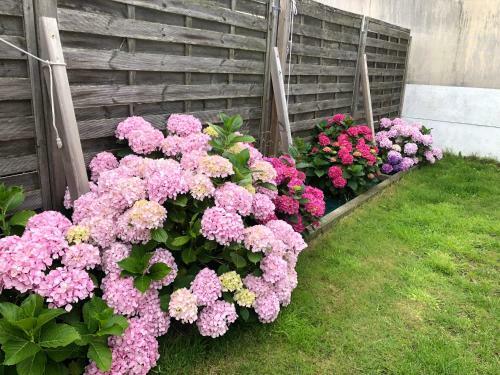 Vannes Centre , Maison 2 Chambres Avec Jardin