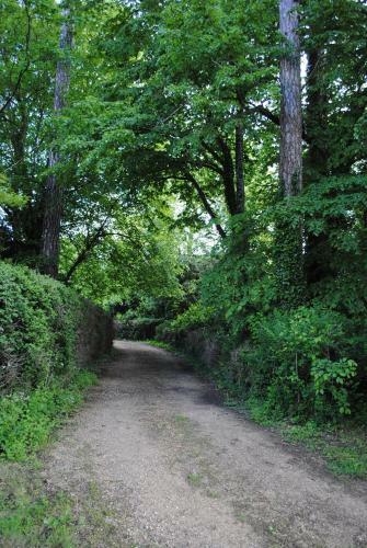 Bed & Breakfast Ch�teau Du Theuil