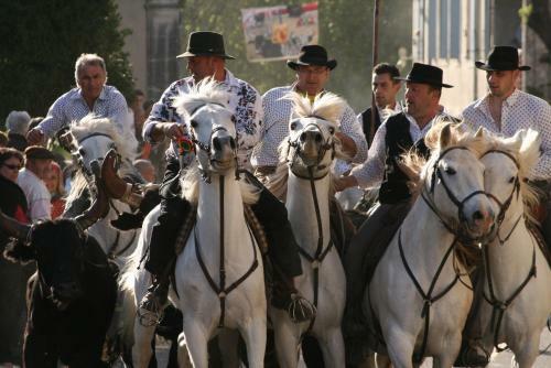 G�te De Vacances En Camargue ??nn
