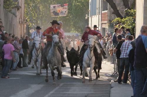 G�te De Vacances En Camargue ??nn
