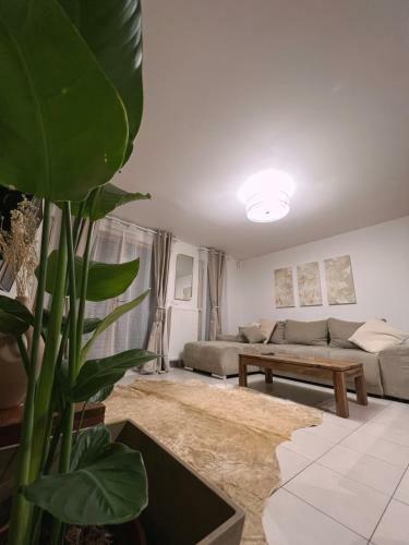 Petite Maison Moderne Avec Jacuzzi Et Sauna