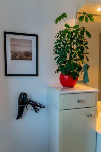 Hostal Les Tourterelles