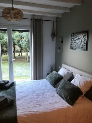 B&B La Maison Du Petit Bois