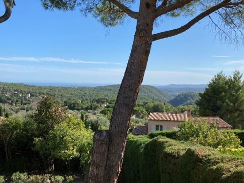 Beautiful Villa Vence Provence