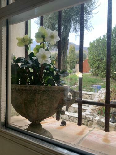 Bed & Breakfast Le Mas Des Roses 1884