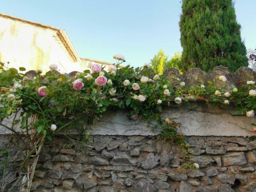 La Taniere