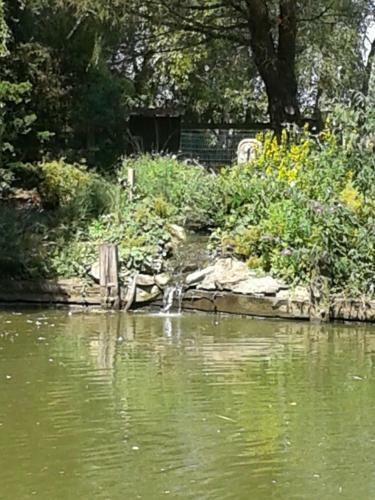 Bed & Breakfast Chambre D'h�tes �levage' Chemin Noir