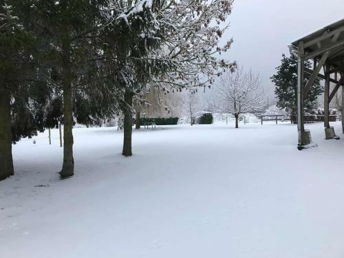 Bed & Breakfast Ferme De La Forterie