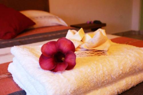 Albergue Hostal San Pancho