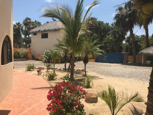 Villa Las Palmas Tropicales