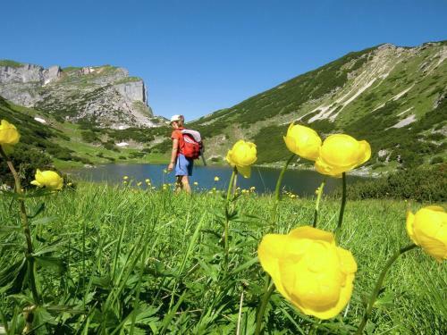 Apartamento Unterhaslach