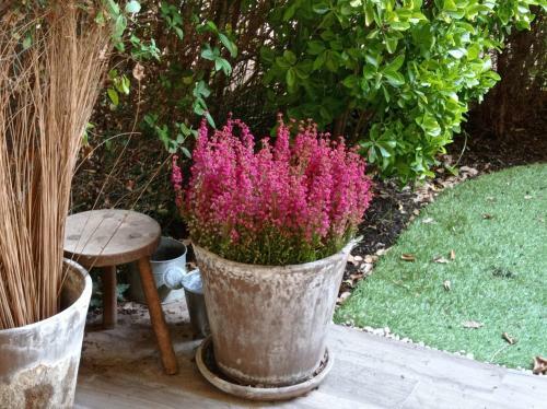 Bed & Breakfast La Bruy�re