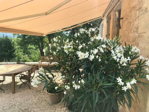 Bed & Breakfast La Maison D'alice