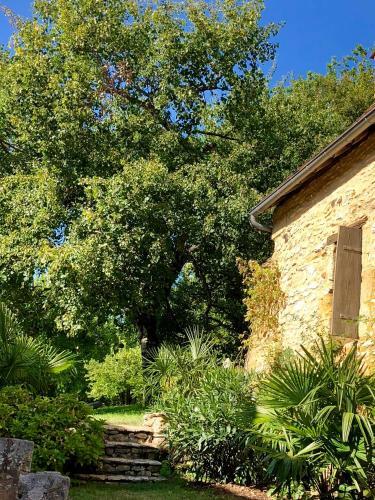Bed & Breakfast La Maison D'alice