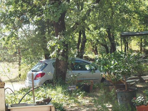 Bed & Breakfast La Cheneraie