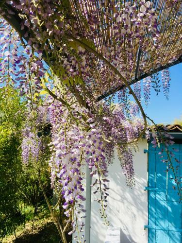 Bed & Breakfast Les Didascalies
