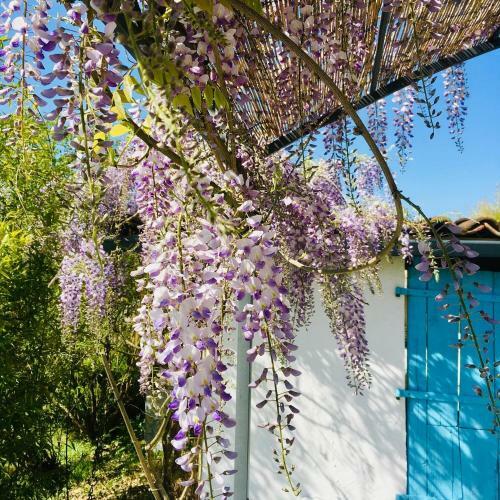 Bed & Breakfast Les Didascalies