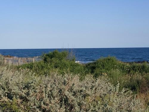 Apartamento Appartement, Vue Sur Mer, Acc�s Direct Plage, Piscine