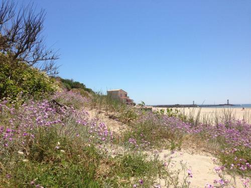 Vias Plage - Maison De Vacances