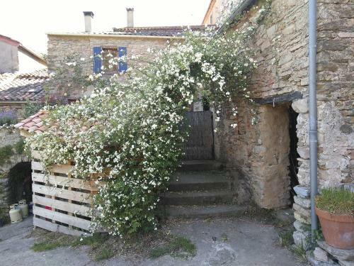 Maison Et Rivi�re