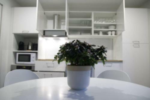 Apartamento La Perle De L?isle