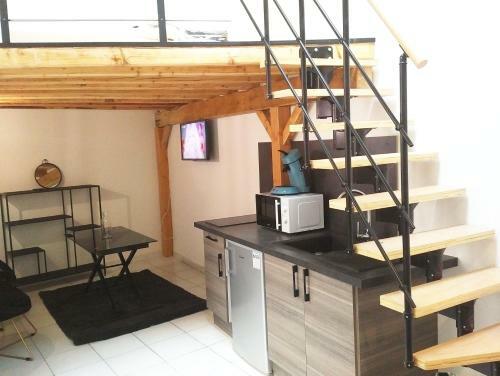 Apartamento Studio Mezzanine H�tel de Ville de Vienne