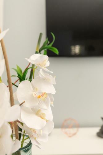 Apartamentos Charme Cosy Confort - Thermes