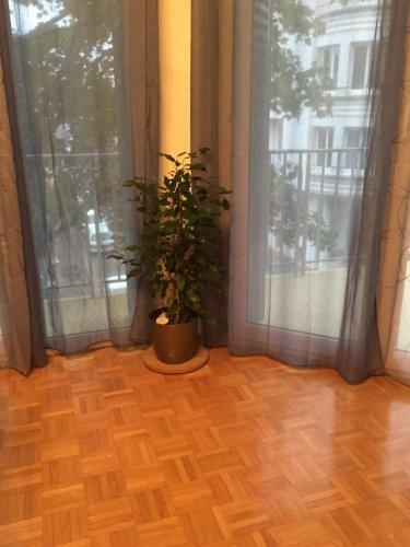 Apartamento 45 Rue De Constantine