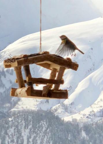 Chalet Lodge Oberig Exclusive
