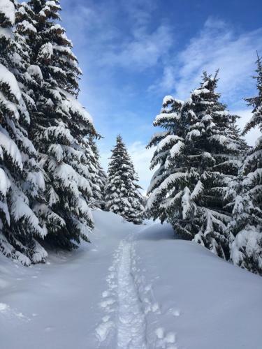 Apartamento La Perle Des Alpes C2