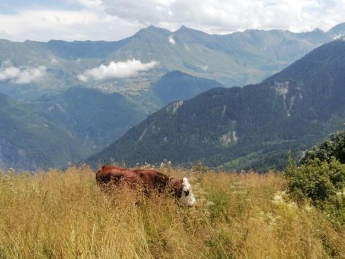 Apartamento Appartement 6 Personnes Au Corbier