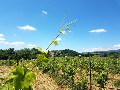 Le Bastidon