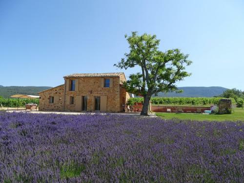 Le Bastidon