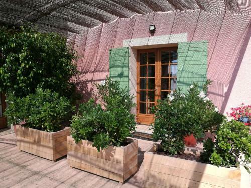 Les Petits Cl�ments