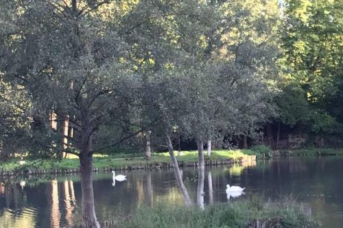 Le Domaine Du Lac