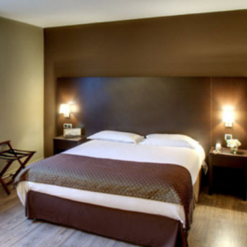 Hotel Best Western H�tel Des Barolles - Lyon Sud