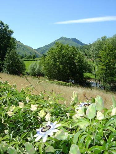 Logis Hotel Xoko-goxoa