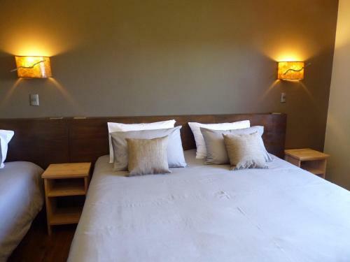 Hotel Lodge El Taique