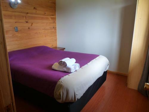 Hotel Lodge El Taique