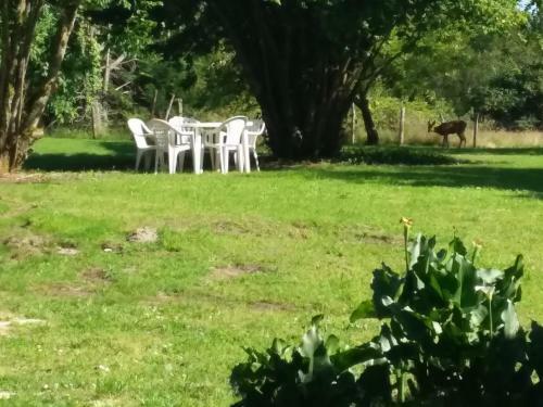 Bed & Breakfast Maison D'h�tes Labastide