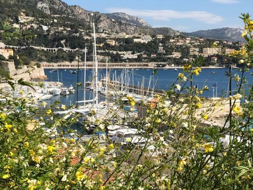 Apartamento Nice/villefranche