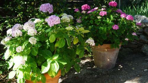Bed & Breakfast Oasis Des Lavandes
