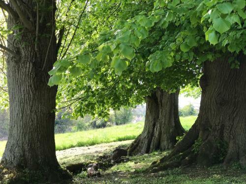 Bed & Breakfast Ch�teau De Villers-bocage