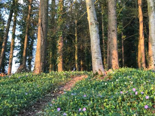 Bed & Breakfast Ch�teau De Villers-bocage