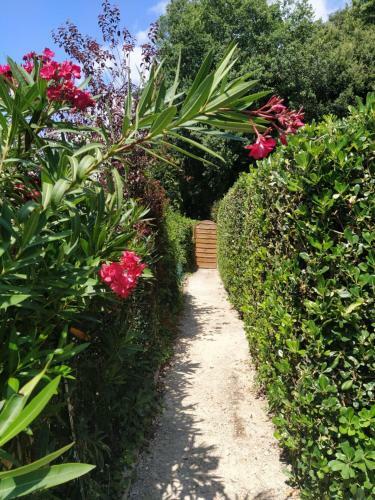 Apartamento Studio French Riviera
