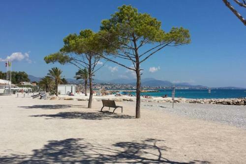 Apartamento Charmant Studio Proche De Nice � 300m Des Plages