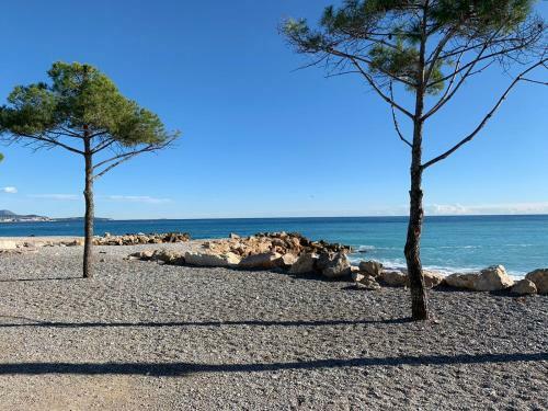 Apartment Sea Side Rooftop Swimming Pool Between Antibes And Nice